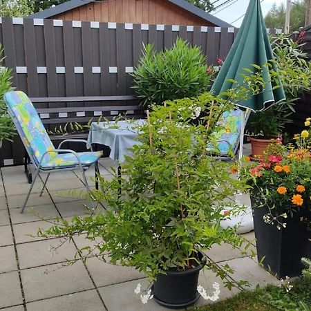 Ferienwohnung Schaarschmidt Altenberg  Esterno foto